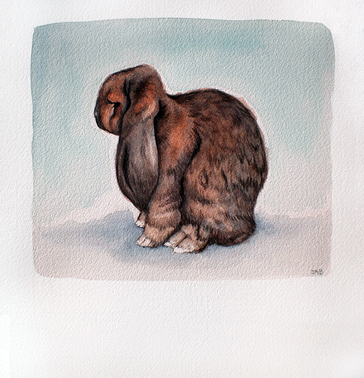 French Lop