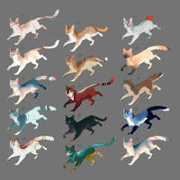 Fifteen cats adopts