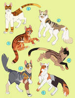 New adopts cats OPEN 2/6