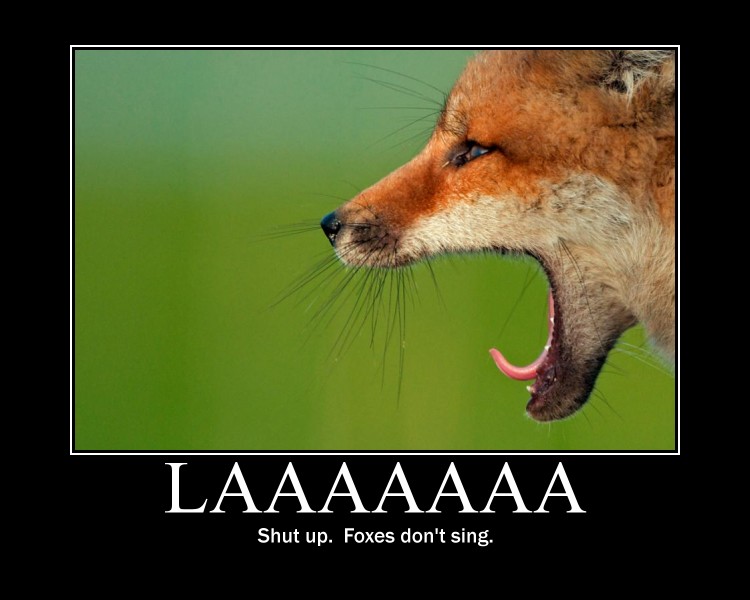 SINGING FOX