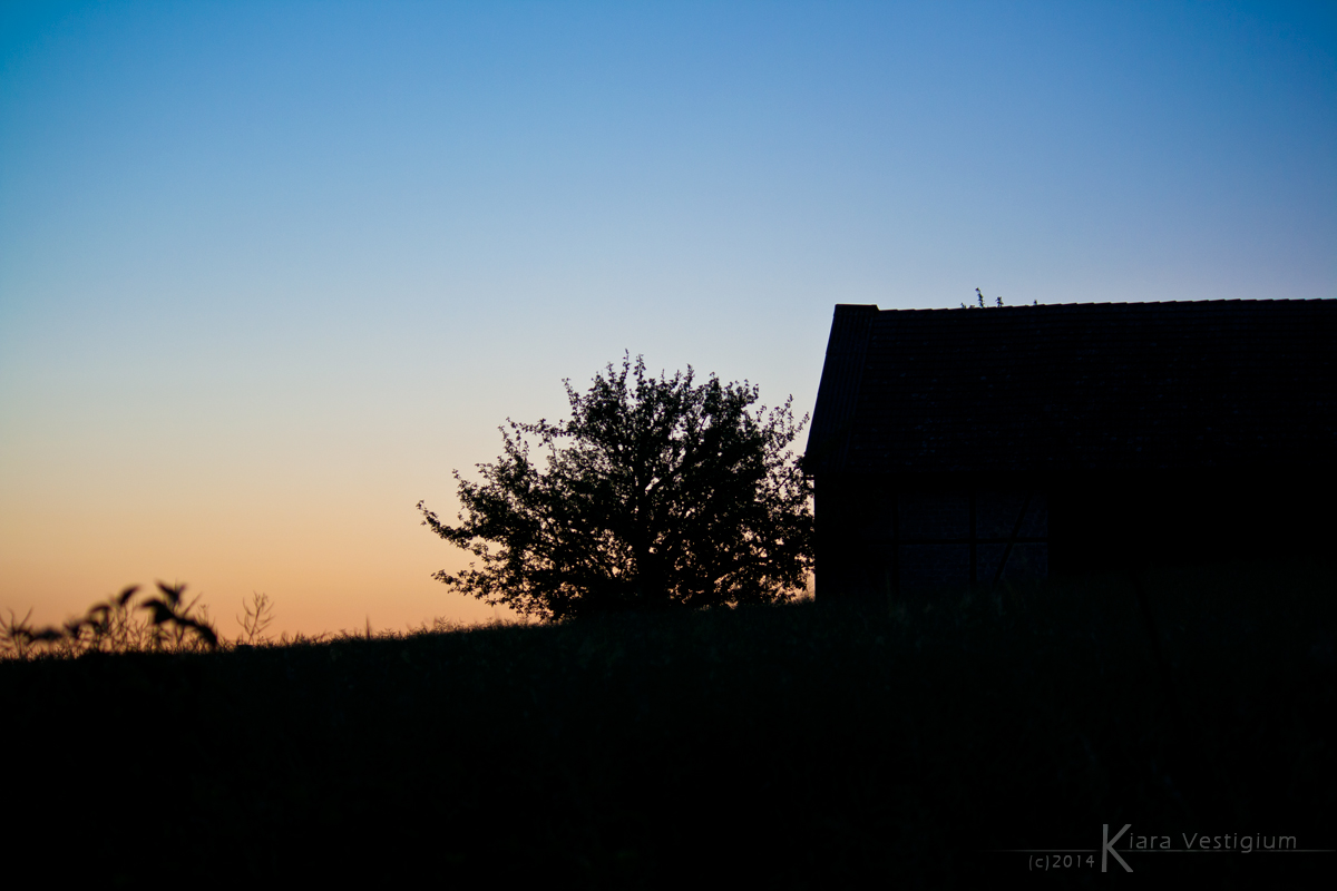 Life at the countryside