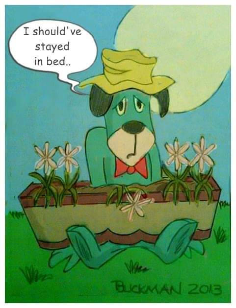 Stayed Cartoon I Should've Stayed in Bed. by ScottsArtToons on DeviantArt