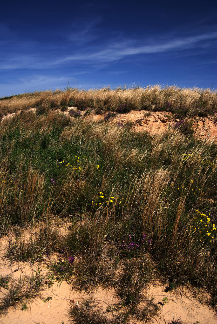 Porter Place Ranch hdr