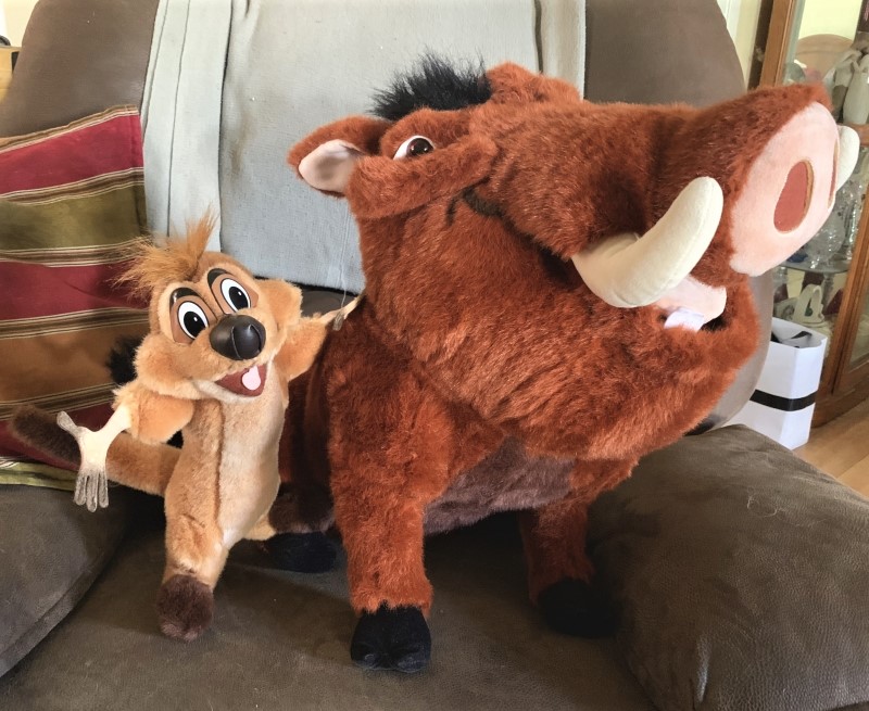 Douglas Timon and Pumbaa by BodieYote on DeviantArt Douglas Timon and Pumbaa by BodieYote on DeviantArt