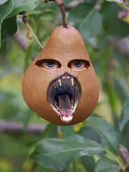 Grow a Pear