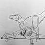 Daspletosaurus