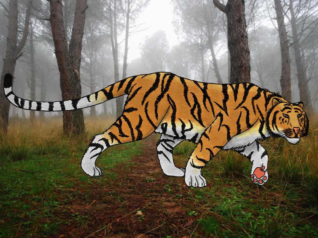 Bengal Tiger by Saberrex on DeviantArt