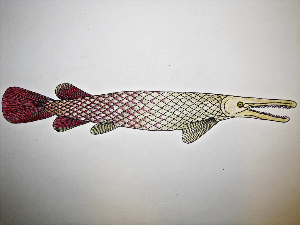 Garanimals Deviantart Walking Gar by Saberrex on DeviantArt