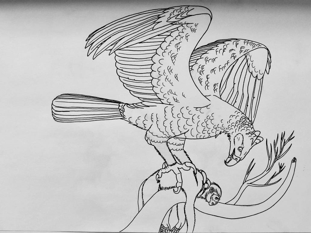 African Crowned Eagle By Saberrex On DeviantArt