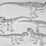 Abelisauridae- Chenanisaurinae and Majungasaurinae