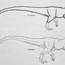 Tyrannosaurs: Albertosaurinae and Tyrannosaurinae