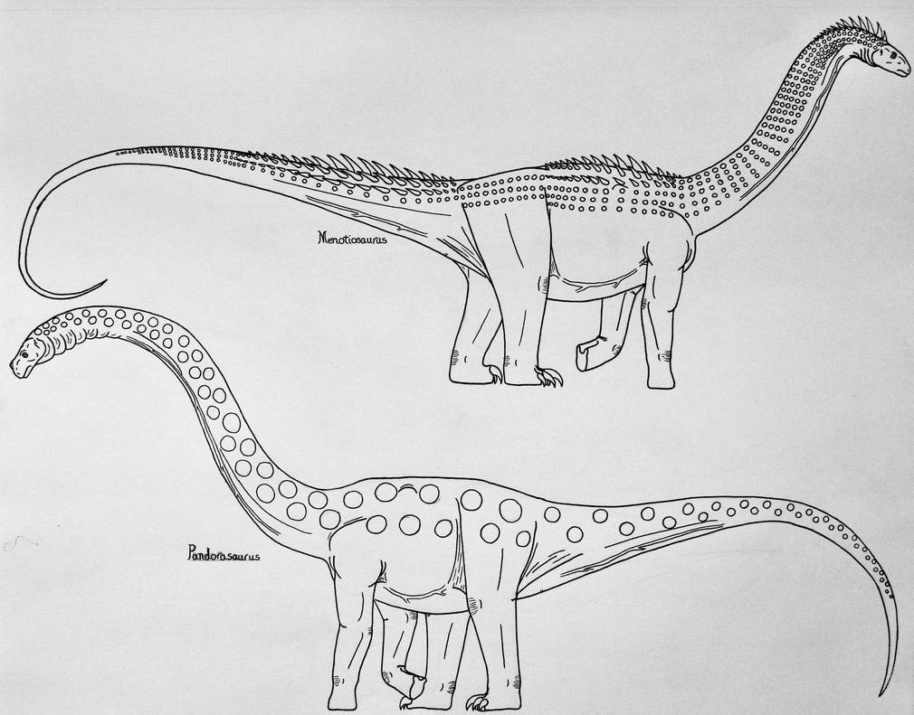 Saltasaurus Tooth Sauropods- Saltasauridae 5 by Saberrex on DeviantArt