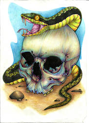 skull and snake tattoo design