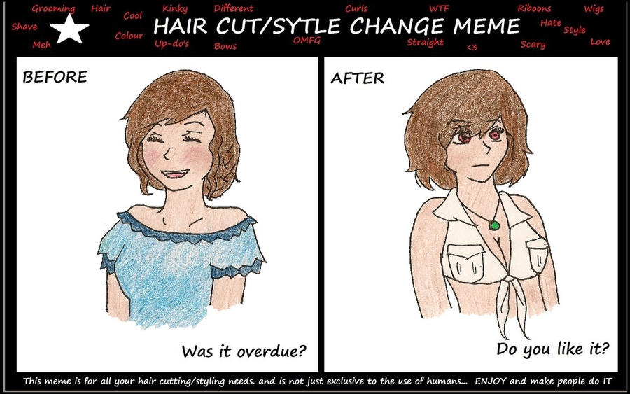 Hair Cut/Style Change Meme by 2pNyoAmerica on DeviantArt Hair Cut/Style Change Meme by 2pNyoAmerica on DeviantArt