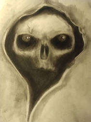 Skull charcoal drawing 2