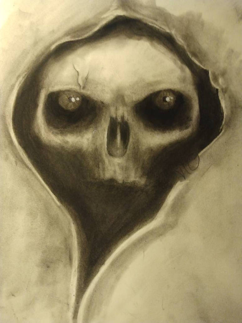 Skull charcoal drawing 2 by Tkgray9980 on DeviantArt