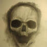 Skull drawing #8754