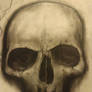 Charcoal Skull doodle