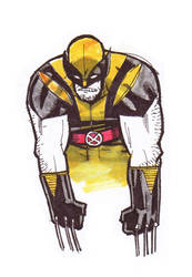 Never stop drawing Wolverines