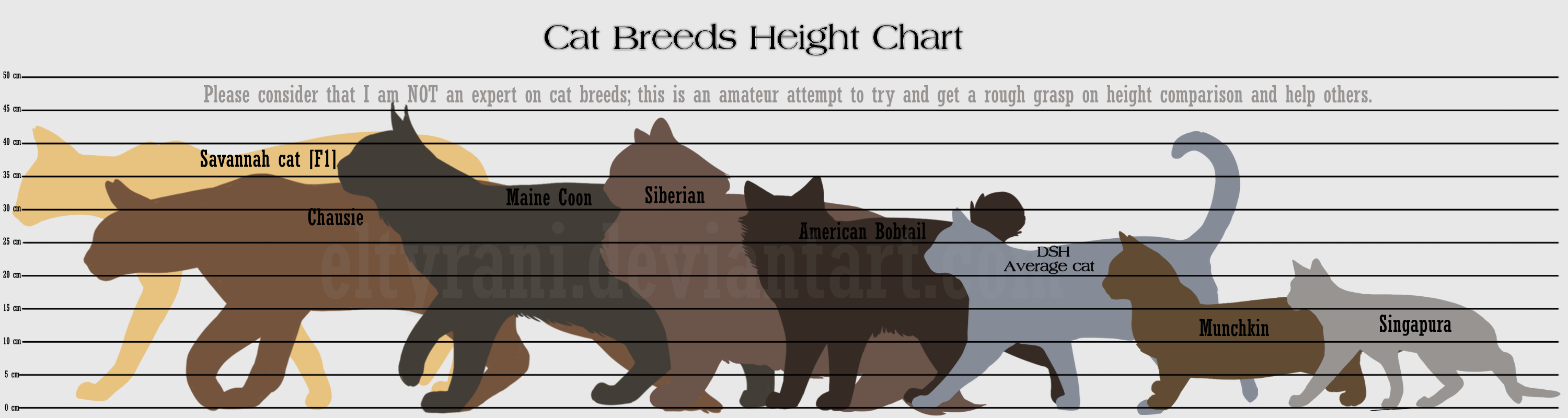 Mini Cats Size Chart