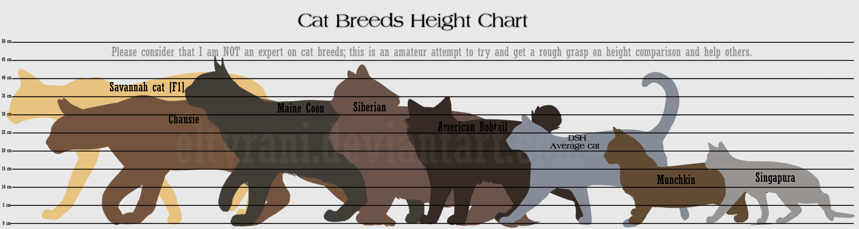 Guide To Cat Breed Heights By ElTyranda On DeviantArt guide-to-cat-breed-heights-by-eltyranda-on-deviantart
