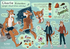 Charlie Richardson the dingo reference sheet 2018 