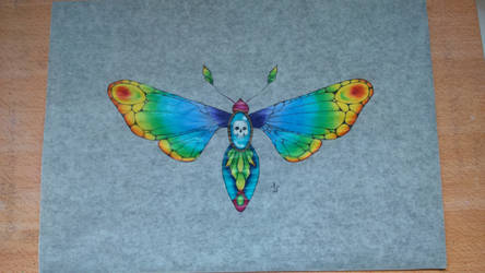 rainbow moth