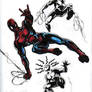 10-20 Spidey color