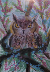 Owl