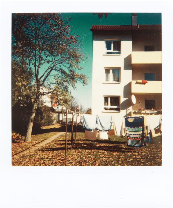 Polaroid - Urban Autumn 2