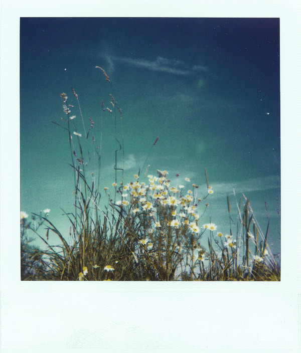 Polaroid - Army base, left 3