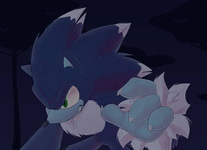 Werehog