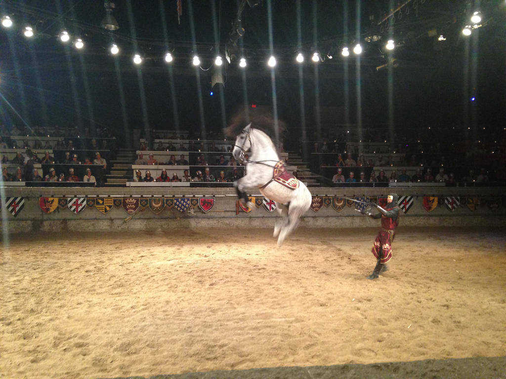 Medieval Times and their Talented Horses