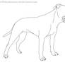 uncropped APBT lineart