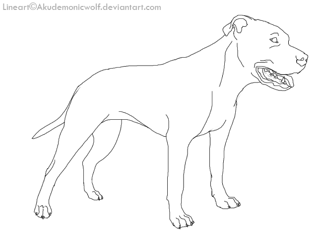 uncropped APBT lineart