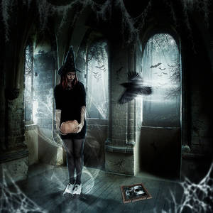 The witch and the crow...