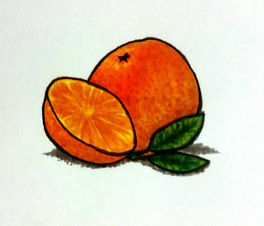 Orange you glad I drew this? (practice)