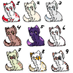 Cats Batch 1 (7/9 OPEN)