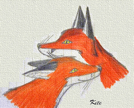 Foxes