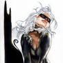 Black Cat