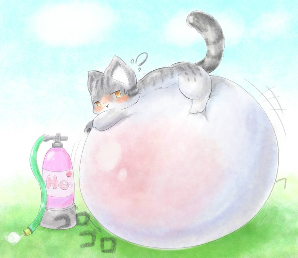 Cat Inflation Challenge 02 Grey White Tabby Cat By Koujikouji326 On cat-inflation-challenge-02-grey-white-tabby-cat-by-koujikouji326-on