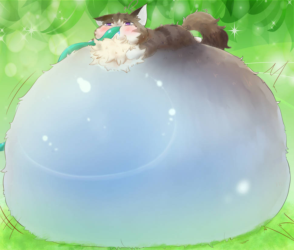 Cat Inflation Animation Cat inflation challenge P4 Norweigian forest cat by koujikouji326 on ...