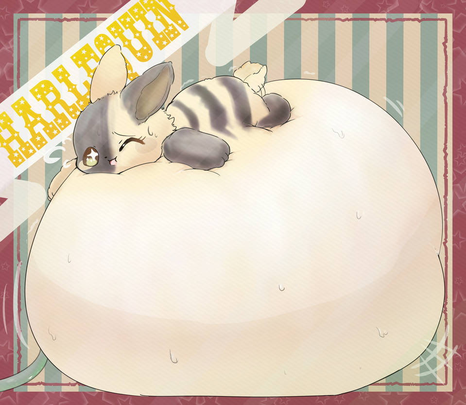 Rabbit Inflation Harlequin rabbit inflation by koujikouji326 on DeviantArt