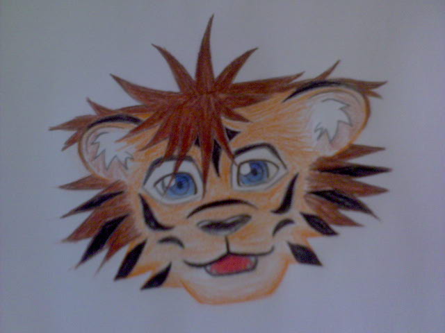 Sora Tiger - headshot