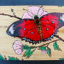 Burnt red butterfly - close up