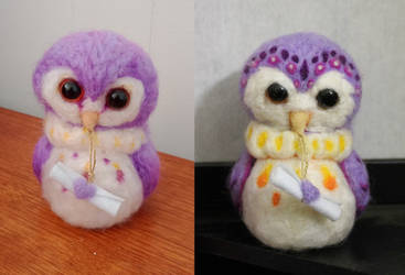 Before and After Owls
