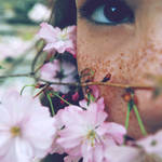 Delicate Flower by xfallxoutxgirlsx