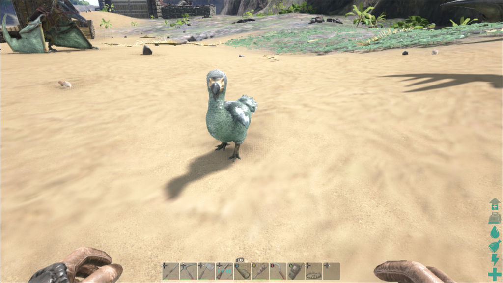 Birds In Ark ARK: Survival Evolved: Dodo bird by knuxpwnsstuff on DeviantArt