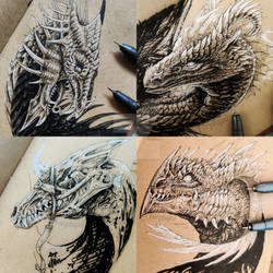 Dragon Sketches