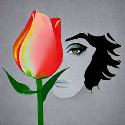 Tulip Whisper